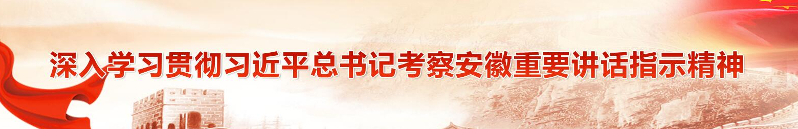 學(xué)習(xí)貫徹習(xí)近平總書(shū)記考察安徽重要講話精神